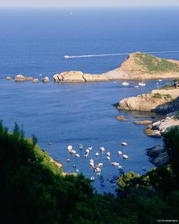 Hostal Sa Rascassa - Begur - 7