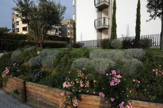 Residence Lorenzo Da Viterbo - Viterbo - 3