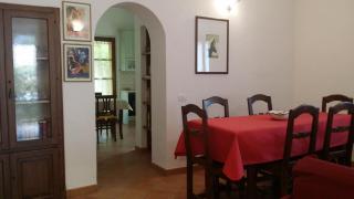 Sunflower - San Quirico dʼOrcia - 1