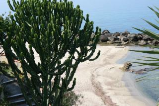 Villa Laura - sul mare - Pizzo - 8