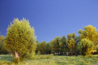 Hotel Casitas Barro Iza Boyaca - Iza - 6