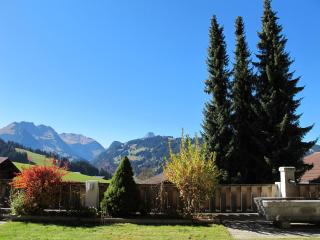 Cala Sol - Gstaad - 9