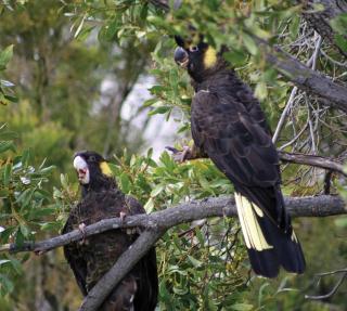 Adventure Bay Retreat Bruny Island - 8