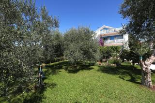 Apartment Milan - Bibinje - 0