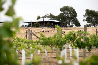 Gilgraves Vineyard Farmstay - Axedale - 2