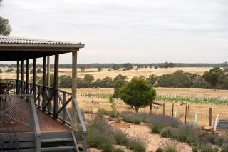 Gilgraves Vineyard Farmstay - Axedale - 4