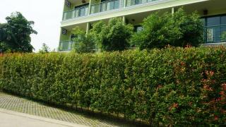 Garden Corner Resort & Hotel - Phitsanulok - 6