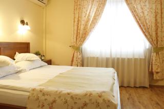 Vila Toparceanu - Therme & Airport Otopeni - Otopeni - 9