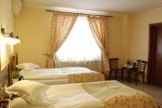 Vila Toparceanu - Therme & Airport Otopeni - Otopeni - 5