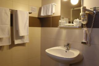 Vila Toparceanu - Therme & Airport Otopeni - Otopeni - 6