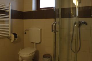 Vila Toparceanu - Therme & Airport Otopeni - Otopeni - 1