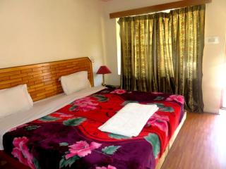 Hotel Abu Palace - Leh - 6
