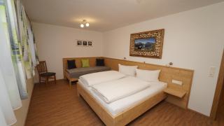 Apartment Hanna - Ramsau im Zillertal - 6