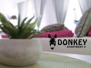 Donkey 2 - Wenen - 7