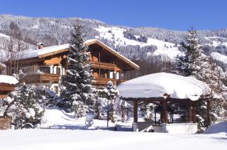 Altachhof Hotel und Ferienanlage - Jokercard im Sommer inklusive - Saalbach-Hinterglemm - 8