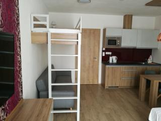 Apartmány Sport Dolní Morava - Dolní Morava - 1