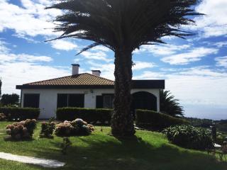 Villa Flor do Monte - Lagoa - 4