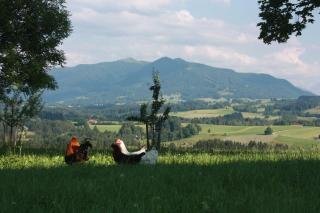 Ferien beim Baur - Bad Bayersoien - 1
