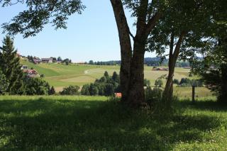 Ferien beim Baur - Bad Bayersoien - 2