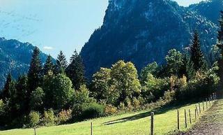 Gästehaus Enzianhof Hotel Garni - Oberammergau - 2