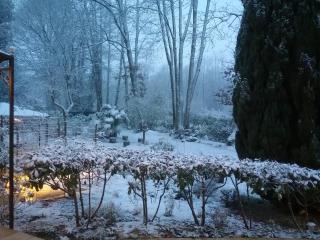 Au Jardin de Lisa - Cherreau - 7