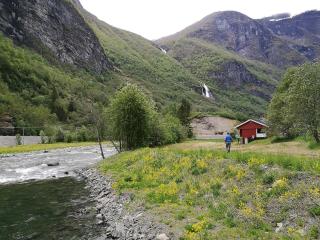 Steinshølen Holiday Home - Flåm - 9