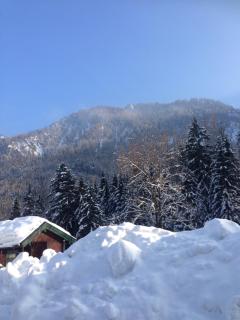 Ferienhütte in Ruhpolding - Ruhpolding - 1