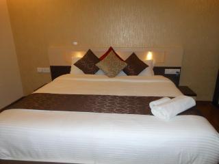 Hotel Omicron 1 BHK Studio room - Bangalore - 8