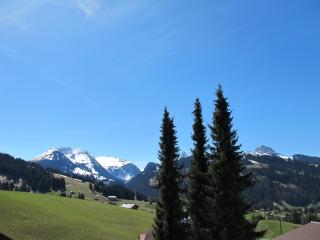 Cala Sol - Gstaad - 5