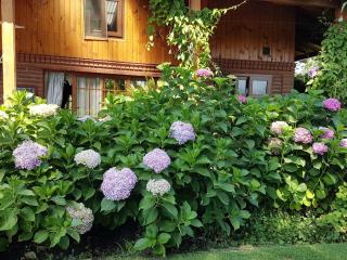 Sta. Marta B&B - Curicó - 6