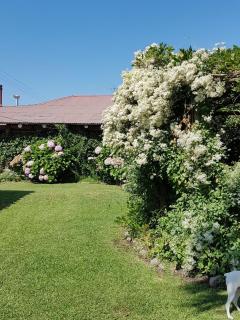 Sta. Marta B&B - Curicó - 7