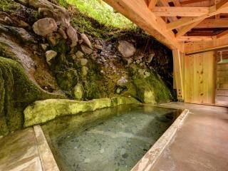 Kashiwaya Ryokan - Tenei - 4