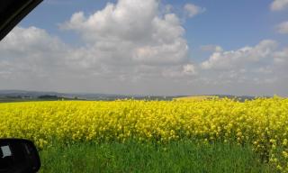 SeidelsFerienparadiesGahlenz - Gahlenz - 2