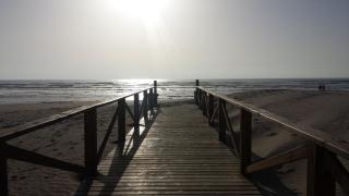 Hostal Brisas de Conil - 7