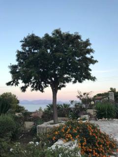 Villa Michela - Scopello - 3