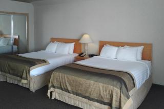 Flamingo Hotel - Medicine Hat - 9
