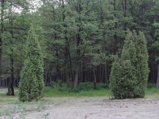 Cottages on Polyova - 5