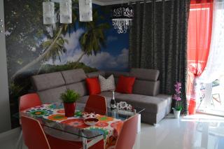 Apartament Ibiza przy plaży - 6