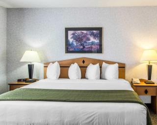 Quality Inn & Suites Denver Airport - Gateway Park - Aurora - 9
