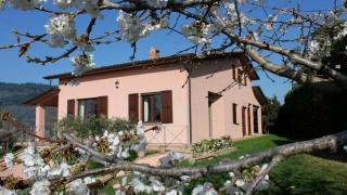 Alta Perugia B&B - Perugia - 4