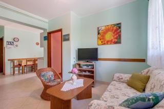 Bugenvilia - Mali Lošinj - 4