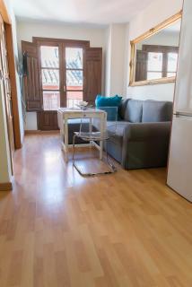 Apartamentos Elvira 21 - Granada - 6