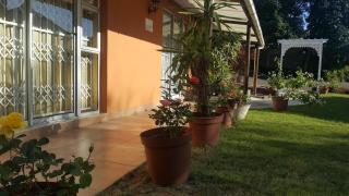 Rose of Sharon - Amanzimtoti - 6
