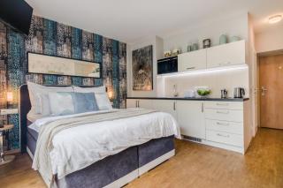 AIR CONDITIONED Terrace Apartment Prague - Praga - 0