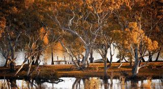 Riverview Rise Retreats - Mannum - 6
