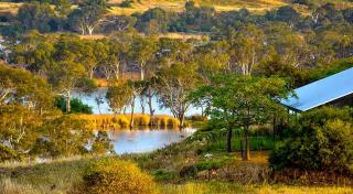 Riverview Rise Retreats - Mannum - 4