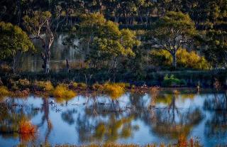 Riverview Rise Retreats - Mannum - 3
