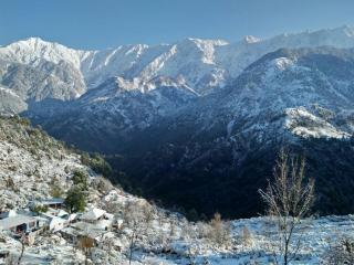 Hotel Udechee Huts, McLeod Ganj - McLeod Ganj - 3