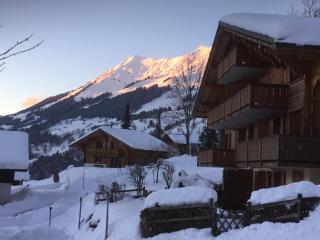 Le Sapin - Les Diablerets - 6