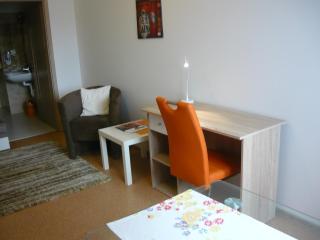 Apartments - Penzion Lena - Hradec Králové - 6
